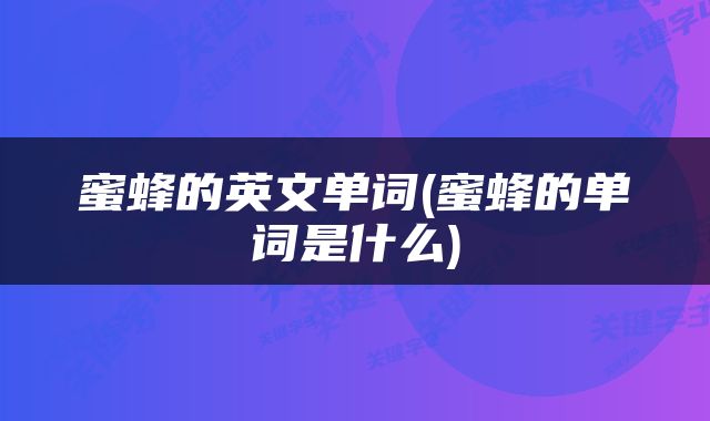 蜜蜂的英文单词(蜜蜂的单词是什么)