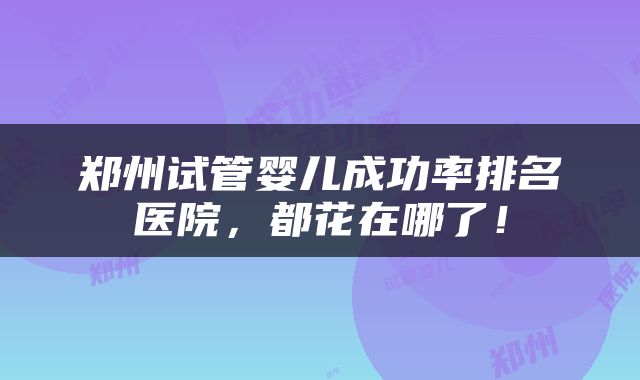 郑州试管婴儿成功率排名医院，都花在哪了！