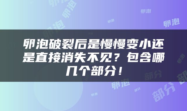 卵泡破裂后是慢慢变小还是直接消失不见？包含哪几个部分！
