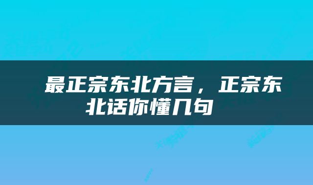  最正宗东北方言，正宗东北话你懂几句 