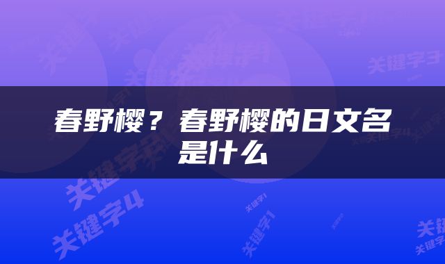 春野樱？春野樱的日文名是什么