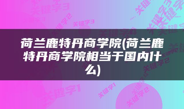 荷兰鹿特丹商学院(荷兰鹿特丹商学院相当于国内什么)