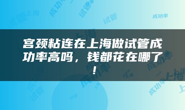 宫颈粘连在上海做试管成功率高吗，钱都花在哪了！