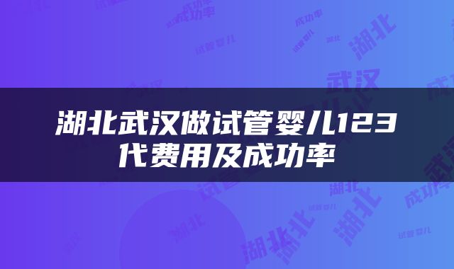 湖北武汉做试管婴儿123代费用及成功率