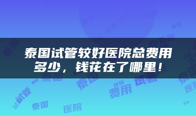 泰国试管较好医院总费用多少，钱花在了哪里！