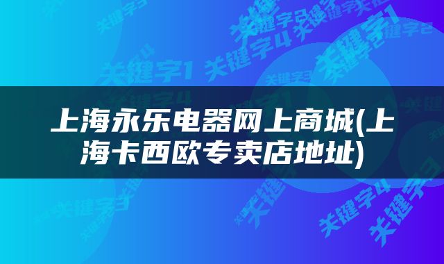 上海永乐电器网上商城(上海卡西欧专卖店地址)