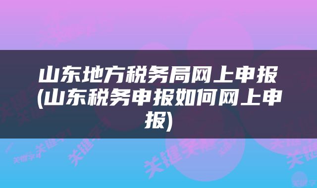 山东地方税务局网上申报(山东税务申报如何网上申报)