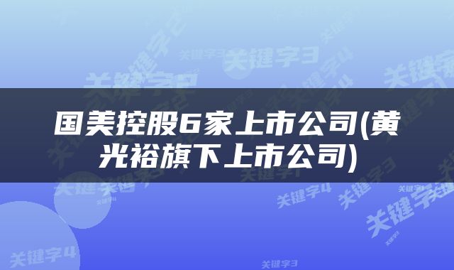 国美控股6家上市公司(黄光裕旗下上市公司)