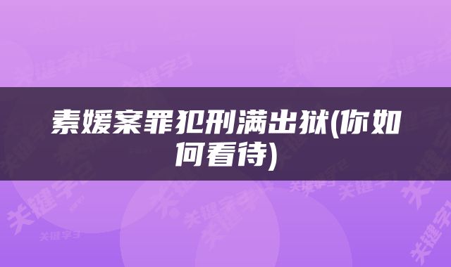 素媛案罪犯刑满出狱(你如何看待)