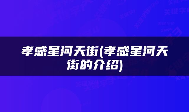 孝感星河天街(孝感星河天街的介绍)