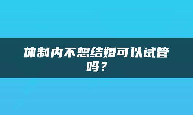 体制内不想结婚可以试管吗？