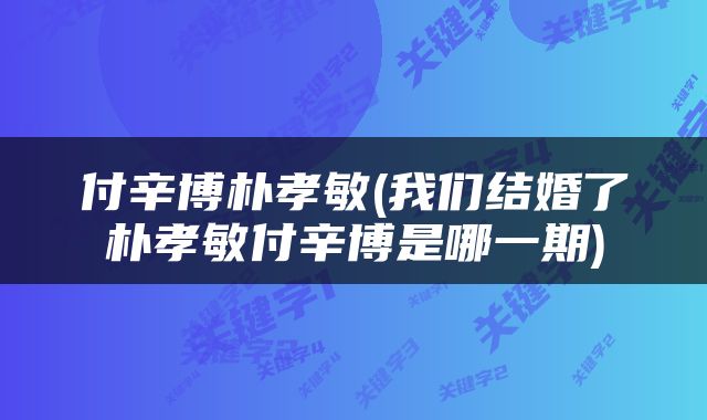 付辛博朴孝敏(我们结婚了朴孝敏付辛博是哪一期)