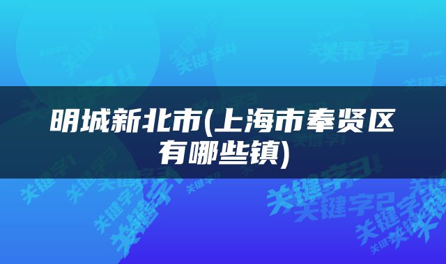 明城新北市(上海市奉贤区有哪些镇)