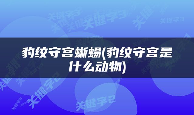 豹纹守宫蜥蜴(豹纹守宫是什么动物)