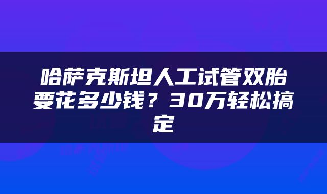 哈萨克斯坦人工试管双胎要花多少钱？30万轻松搞定