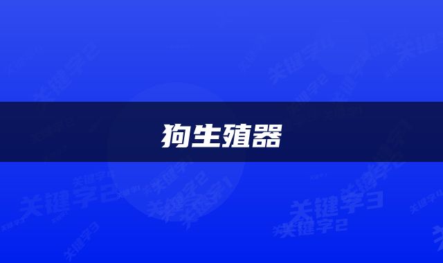 狗生殖器