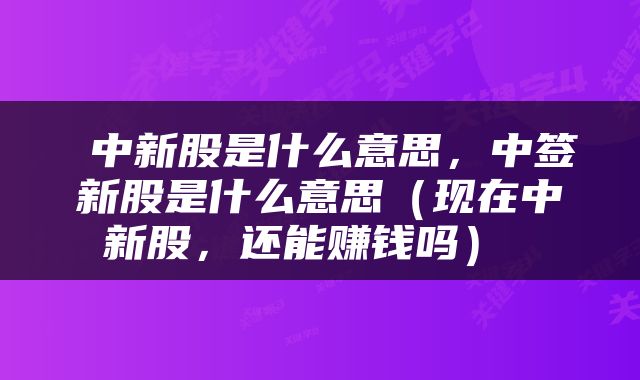  中新股是什么意思，中签新股是什么意思（现在中新股，还能赚钱吗） 