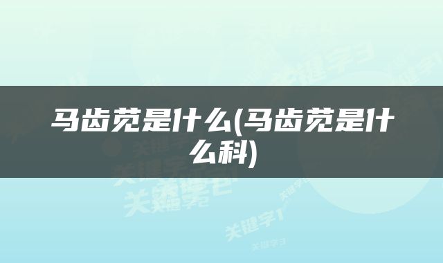 马齿苋是什么(马齿苋是什么科)