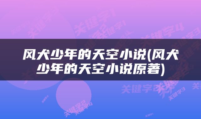 风犬少年的天空小说(风犬少年的天空小说原著)