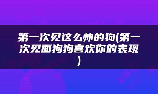 第一次见这么帅的狗(第一次见面狗狗喜欢你的表现)