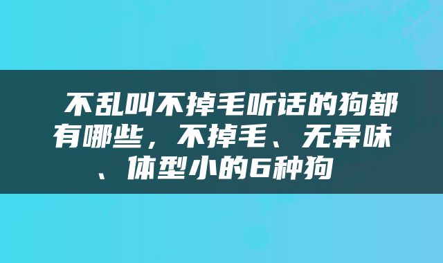  不乱叫不掉毛听话的狗都有哪些，不掉毛、无异味、体型小的6种狗 