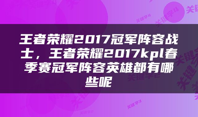 王者荣耀2017冠军阵容战士，王者荣耀2017kpl春季赛冠军阵容英雄都有哪些呢