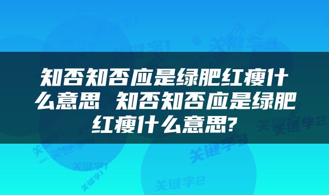 知否知否应是绿肥红瘦什么意思 知否知否应是绿肥红瘦什么意思?