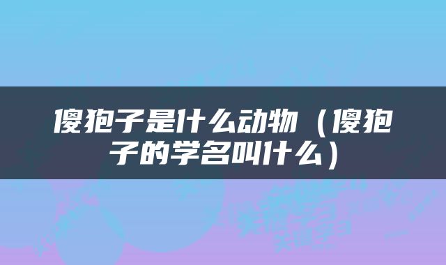傻狍子是什么动物（傻狍子的学名叫什么）