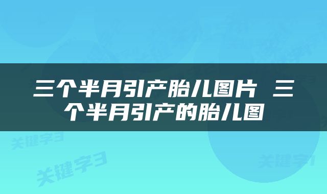 三个半月引产胎儿图片 三个半月引产的胎儿图