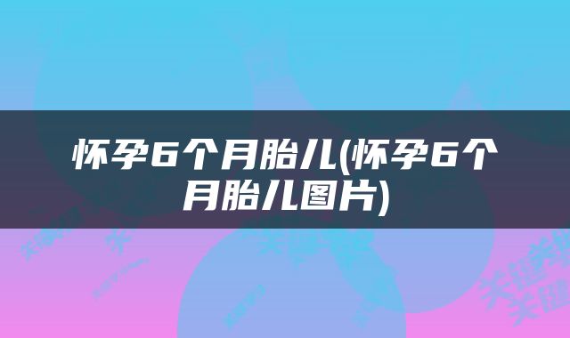 怀孕6个月胎儿(怀孕6个月胎儿图片)