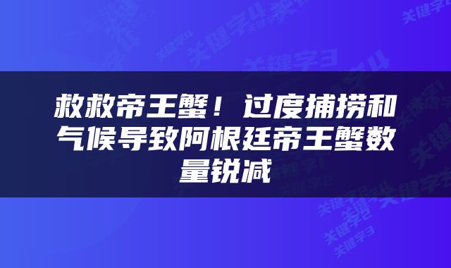 救救帝王蟹！过度捕捞和气候导致阿根廷帝王蟹数量锐减