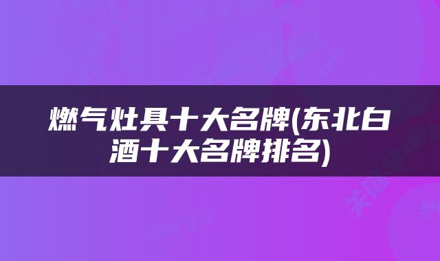 燃气灶具十大名牌(东北白酒十大名牌排名)