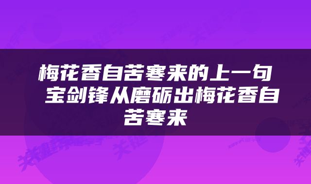 梅花香自苦寒来的上一句 宝剑锋从磨砺出梅花香自苦寒来