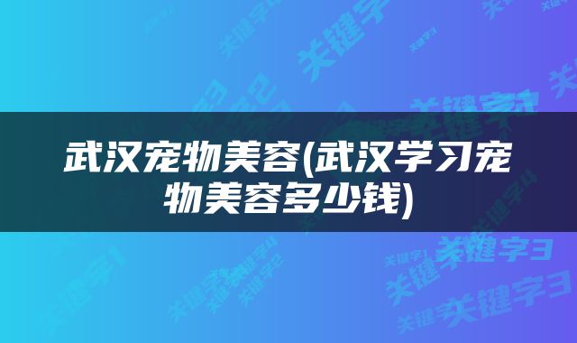 武汉宠物美容(武汉学习宠物美容多少钱)