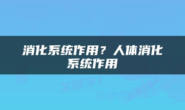 消化系统作用？人体消化系统作用