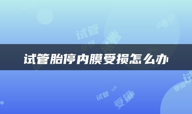试管胎停内膜受损怎么办