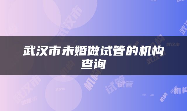 武汉市未婚做试管的机构查询