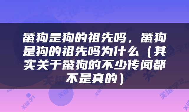 鬣狗是狗的祖先吗，鬣狗是狗的祖先吗为什么（其实关于鬣狗的不少传闻都不是真的）