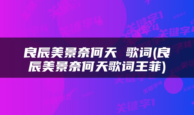良辰美景奈何天 歌词(良辰美景奈何天歌词王菲)