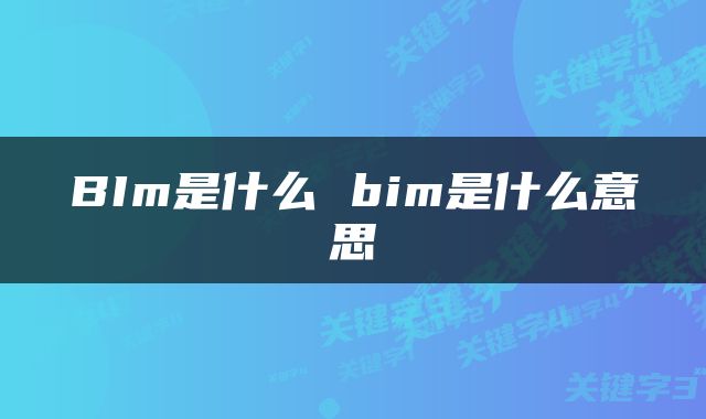 BIm是什么 bim是什么意思