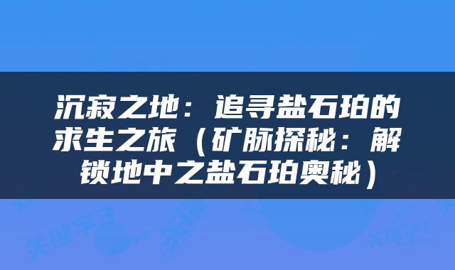 沉寂之地：追寻盐石珀的求生之旅（矿脉探秘：解锁地中之盐石珀奥秘）