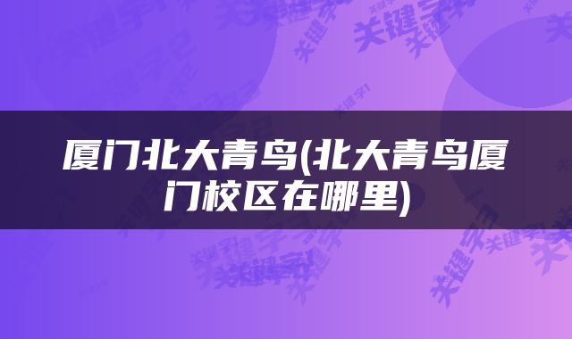 厦门北大青鸟(北大青鸟厦门校区在哪里)