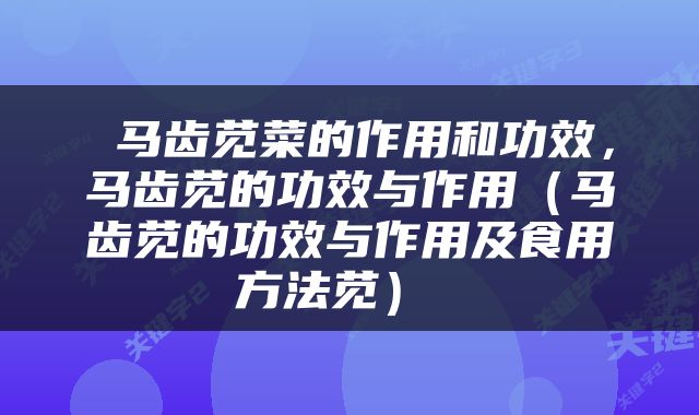  马齿苋菜的作用和功效，马齿苋的功效与作用（马齿苋的功效与作用及食用方法苋） 