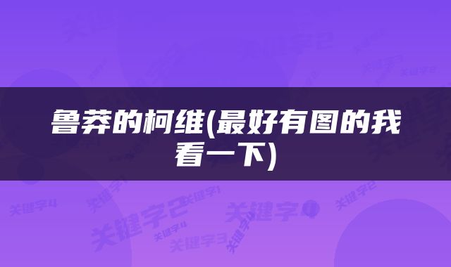 鲁莽的柯维(最好有图的我看一下)