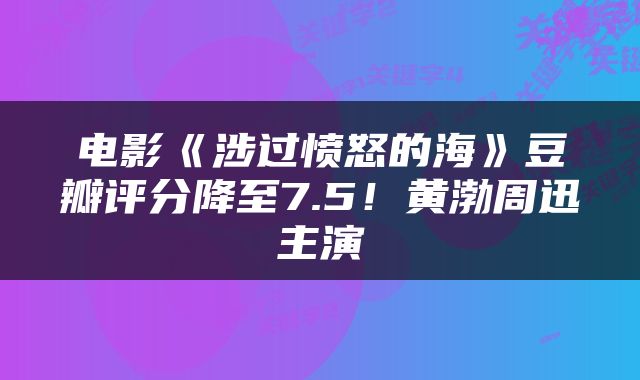 电影《涉过愤怒的海》豆瓣评分降至7.5!黄渤周迅主演