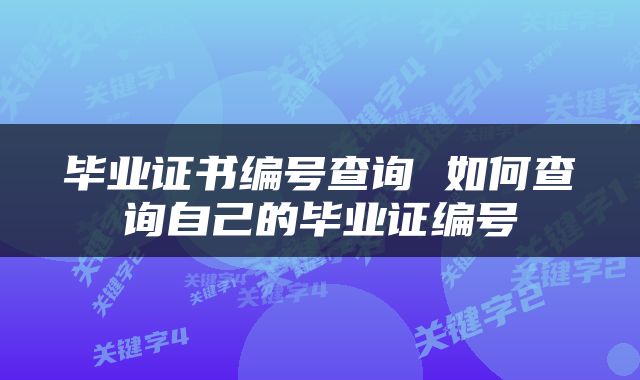 毕业证书编号查询 如何查询自己的毕业证编号