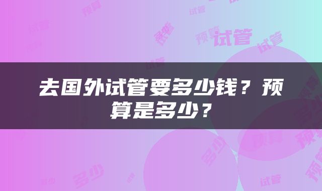 去国外试管要多少钱？预算是多少？