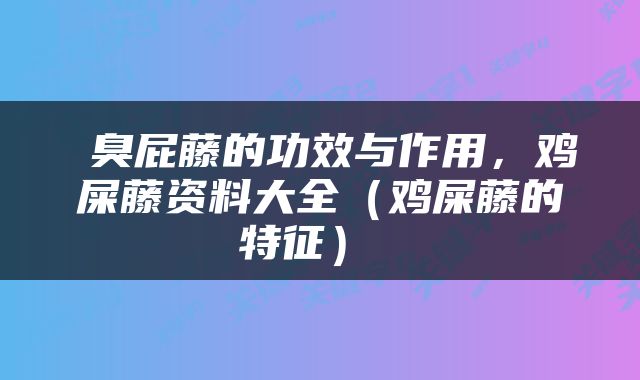  臭屁藤的功效与作用，鸡屎藤资料大全（鸡屎藤的特征） 