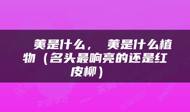  葇荑是什么，葇荑是什么植物（名头最响亮的还是红皮柳） 