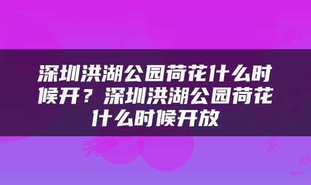 深圳洪湖公园荷花什么时候开？深圳洪湖公园荷花什么时候开放